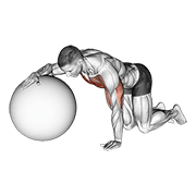 ภาพเคลื่อนไหวสาธิตท่า Chest Stretch With Exercise Ball เน้นกล้ามเนื้อกล้ามเนื้อหน้าอก