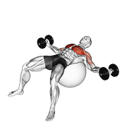ภาพเคลื่อนไหวสาธิตท่า Dumbbell Fly On Exercise Ball เน้นกล้ามเนื้อกล้ามเนื้อหน้าอก