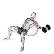 ภาพเคลื่อนไหวสาธิตท่า Dumbbell Incline One Arm Fly On Exercise Ball เน้นกล้ามเนื้อกล้ามเนื้อหน้าอก