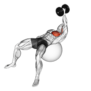 ภาพเคลื่อนไหวสาธิตท่า Dumbbell One Arm Fly On Exercise Ball เน้นกล้ามเนื้อกล้ามเนื้อหน้าอก