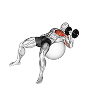 ภาพเคลื่อนไหวสาธิตท่า Dumbbell One Arm Press On Exercise Ball เน้นกล้ามเนื้อกล้ามเนื้อหน้าอก