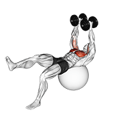 ภาพเคลื่อนไหวสาธิตท่า Dumbbell One Leg Fly On Exercise Ball เน้นกล้ามเนื้อกล้ามเนื้อหน้าอก