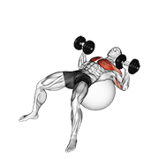 ภาพเคลื่อนไหวสาธิตท่า Dumbbell Press On Exercise Ball เน้นกล้ามเนื้อกล้ามเนื้อหน้าอก