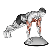 ภาพเคลื่อนไหวสาธิตท่า Push Up On Bosu Ball เน้นกล้ามเนื้อกล้ามเนื้อหน้าอก