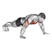 ภาพเคลื่อนไหวสาธิตท่า Wide Hand Push Up เน้นกล้ามเนื้อกล้ามเนื้อหน้าอก