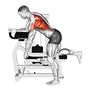 ภาพเคลื่อนไหวสาธิตท่า Lever Unilateral Row เน้นกล้ามเนื้อหลังส่วนบน