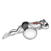 ภาพเคลื่อนไหวสาธิตท่า Back Extension On Exercise Ball เน้นกล้ามเนื้อกล้ามเนื้อแนวกระดูกสันหลัง