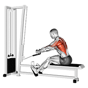 ภาพเคลื่อนไหวสาธิตท่า Cable Rope Elevated Seated Row เน้นกล้ามเนื้อหลังส่วนบน