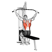ภาพเคลื่อนไหวสาธิตท่า Cable Wide Grip Rear Pulldown Behind Neck เน้นกล้ามเนื้อปีกหลัง (แลตส์)