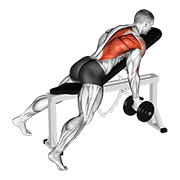 ภาพเคลื่อนไหวสาธิตท่า Dumbbell Reverse Grip Incline Bench One Arm Row เน้นกล้ามเนื้อหลังส่วนบน