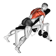 ภาพเคลื่อนไหวสาธิตท่า Dumbbell Reverse Grip Incline Bench Two Arm Row เน้นกล้ามเนื้อหลังส่วนบน