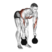 ภาพเคลื่อนไหวสาธิตท่า Kettlebell Two Arm Row เน้นกล้ามเนื้อหลังส่วนบน