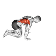 ภาพเคลื่อนไหวสาธิตท่า Kneeling Lat Stretch เน้นกล้ามเนื้อปีกหลัง (แลตส์)
