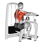 ภาพเคลื่อนไหวสาธิตท่า Lever Seated Row เน้นกล้ามเนื้อหลังส่วนบน