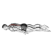 ภาพเคลื่อนไหวสาธิตท่า Lower Back Curl เน้นกล้ามเนื้อกล้ามเนื้อแนวกระดูกสันหลัง