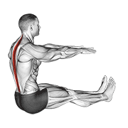 ภาพเคลื่อนไหวสาธิตท่า Spine Stretch เน้นกล้ามเนื้อกล้ามเนื้อแนวกระดูกสันหลัง