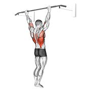 ภาพเคลื่อนไหวสาธิตท่า Wide Grip Rear Pull-up เน้นกล้ามเนื้อปีกหลัง (แลตส์)