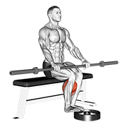 ภาพเคลื่อนไหวสาธิตท่า Barbell Seated Calf Raise เน้นกล้ามเนื้อน่อง