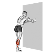 ภาพเคลื่อนไหวสาธิตท่า Calf Stretch With Hands Against Wall เน้นกล้ามเนื้อน่อง