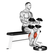 ภาพเคลื่อนไหวสาธิตท่า Dumbbell Seated Calf Raise เน้นกล้ามเนื้อน่อง