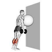 ภาพเคลื่อนไหวสาธิตท่า Exercise Ball On The Wall Calf Raise เน้นกล้ามเนื้อน่อง