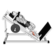 ภาพเคลื่อนไหวสาธิตท่า Hack One Leg Calf Raise เน้นกล้ามเนื้อน่อง