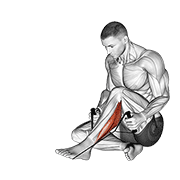 ภาพเคลื่อนไหวสาธิตท่า Peroneals Stretch เน้นกล้ามเนื้อน่อง