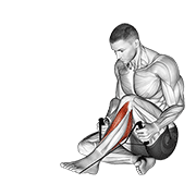 ภาพเคลื่อนไหวสาธิตท่า Posterior Tibialis Stretch เน้นกล้ามเนื้อน่อง