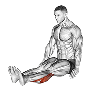 ภาพเคลื่อนไหวสาธิตท่า Seated Calf Stretch (male) เน้นกล้ามเนื้อน่อง