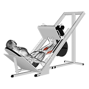 ภาพเคลื่อนไหวสาธิตท่า Sled Calf Press On Leg Press เน้นกล้ามเนื้อน่อง