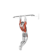 ภาพเคลื่อนไหวสาธิตท่า Muscle-up (on Vertical Bar) เน้นกล้ามเนื้อปีกหลัง (แลตส์)