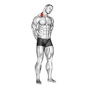 ภาพเคลื่อนไหวสาธิตท่า Neck Side Stretch เน้นกล้ามเนื้อกล้ามเนื้อยกสะบัก