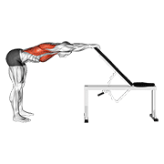 ภาพเคลื่อนไหวสาธิตท่า Back Pec Stretch เน้นกล้ามเนื้อปีกหลัง (แลตส์)