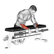 ภาพเคลื่อนไหวสาธิตท่า Barbell Palms Down Wrist Curl Over A Bench เน้นกล้ามเนื้อแขนท่อนล่าง