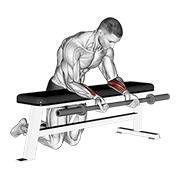 ภาพเคลื่อนไหวสาธิตท่า Barbell Palms Up Wrist Curl Over A Bench เน้นกล้ามเนื้อแขนท่อนล่าง