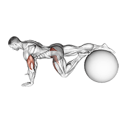 ภาพเคลื่อนไหวสาธิตท่า Exercise Ball One Leg Prone Lower Body Rotation เน้นกล้ามเนื้อกล้ามเนื้อก้น