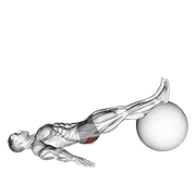 ภาพเคลื่อนไหวสาธิตท่า Exercise Ball One Legged Diagonal Kick Hamstring Curl เน้นกล้ามเนื้อกล้ามเนื้อก้น
