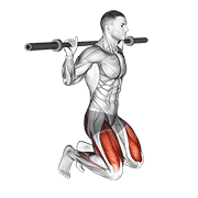 ภาพเคลื่อนไหวสาธิตท่า Kneeling Jump Squat เน้นกล้ามเนื้อกล้ามเนื้อก้น