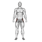 ภาพเคลื่อนไหวสาธิตท่า Straight Leg Outer Hip Abductor เน้นกล้ามเนื้อกล้ามเนื้อสะโพกด้านนอก