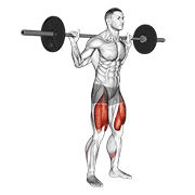ภาพเคลื่อนไหวสาธิตท่า Barbell Low Bar Squat เน้นกล้ามเนื้อกล้ามเนื้อก้น
