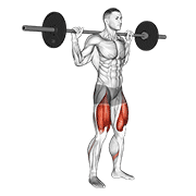 ภาพเคลื่อนไหวสาธิตท่า Barbell High Bar Squat เน้นกล้ามเนื้อกล้ามเนื้อก้น