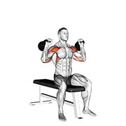 ภาพเคลื่อนไหวสาธิตท่า Kettlebell Seated Two Arm Military Press เน้นกล้ามเนื้อไหล่ (เดลทอยด์)
