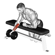 ภาพเคลื่อนไหวสาธิตท่า Dumbbell Over Bench One Arm Reverse Wrist Curl เน้นกล้ามเนื้อแขนท่อนล่าง