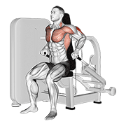 ภาพเคลื่อนไหวสาธิตท่า Lever Seated Dip เน้นกล้ามเนื้อกล้ามเนื้อหลังแขน (ไทรเซปส์)