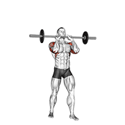 ภาพเคลื่อนไหวสาธิตท่า Barbell Standing Close Grip Military Press เน้นกล้ามเนื้อไหล่ (เดลทอยด์)