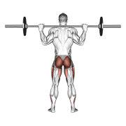 ภาพเคลื่อนไหวสาธิตท่า Barbell Full Squat (back Pov) เน้นกล้ามเนื้อกล้ามเนื้อก้น