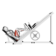 ภาพเคลื่อนไหวสาธิตท่า Sled 45° Leg Press (side Pov) เน้นกล้ามเนื้อกล้ามเนื้อก้น