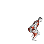 ภาพเคลื่อนไหวสาธิตท่า Backward Jump เน้นกล้ามเนื้อต้นขาด้านหน้า (ควอดส์)