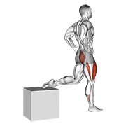 ภาพเคลื่อนไหวสาธิตท่า One Leg Squat เน้นกล้ามเนื้อกล้ามเนื้อก้น