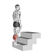 ภาพเคลื่อนไหวสาธิตท่า Standing Calf Raise (on A Staircase) เน้นกล้ามเนื้อน่อง